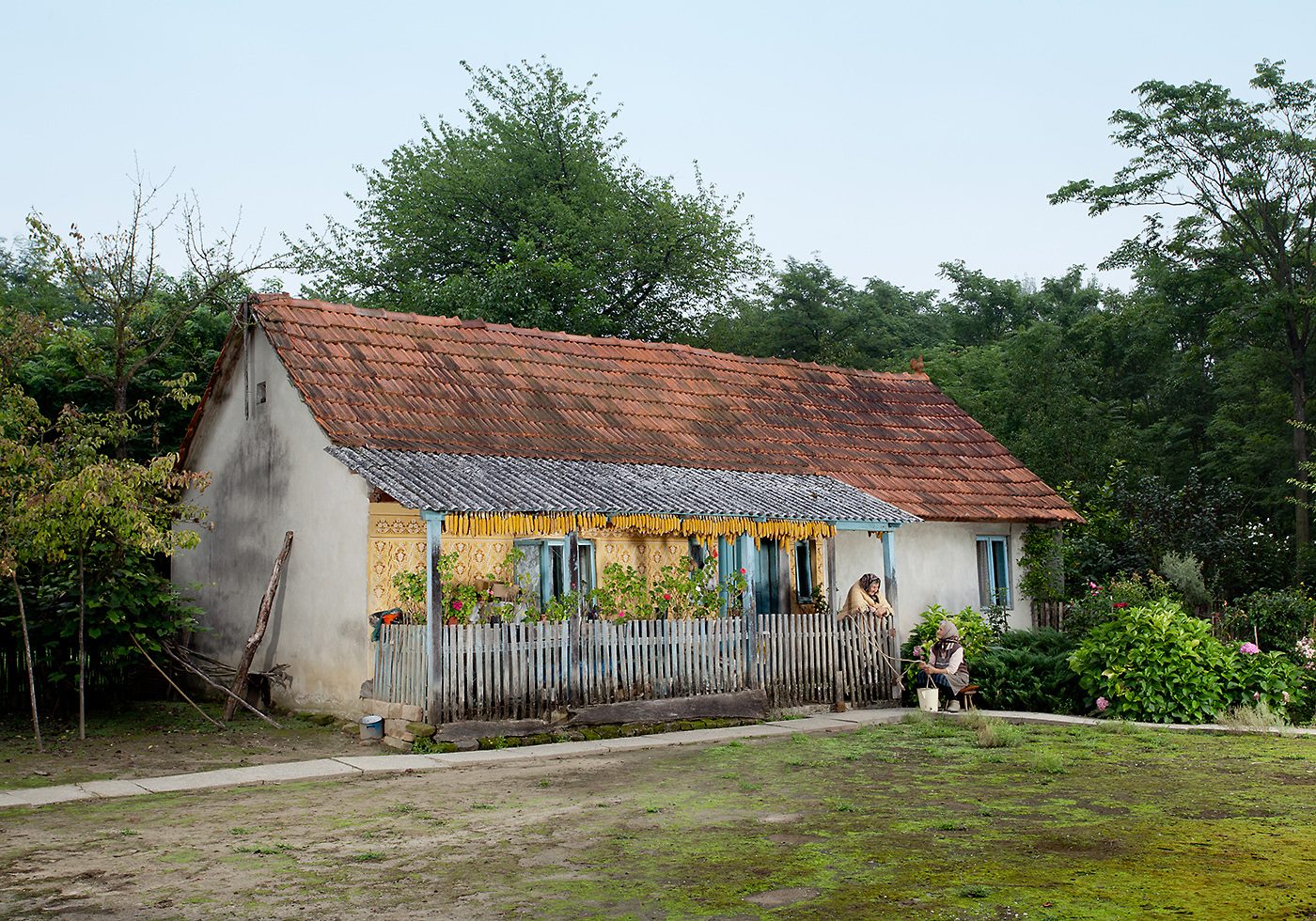 vještice (coprnjice)